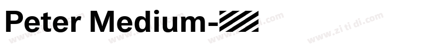 Peter Medium字体转换 Peter Medium字体转换